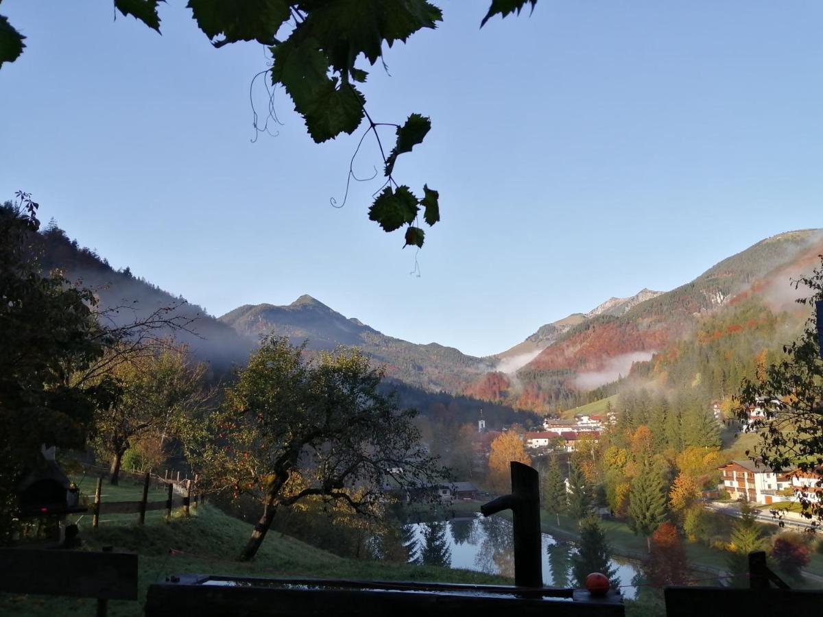 Bio-Bauernhof "Hecherhof" Thiersee Eksteriør bilde