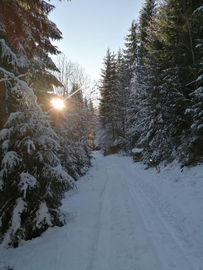 Bio-Bauernhof "Hecherhof" Thiersee Eksteriør bilde