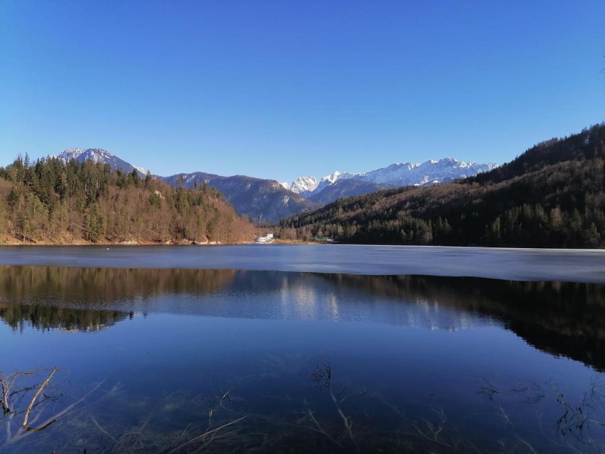 Bio-Bauernhof "Hecherhof" Thiersee Eksteriør bilde