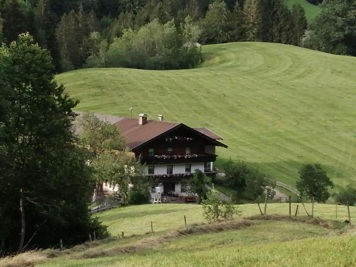 Bio-Bauernhof "Hecherhof" Thiersee Eksteriør bilde