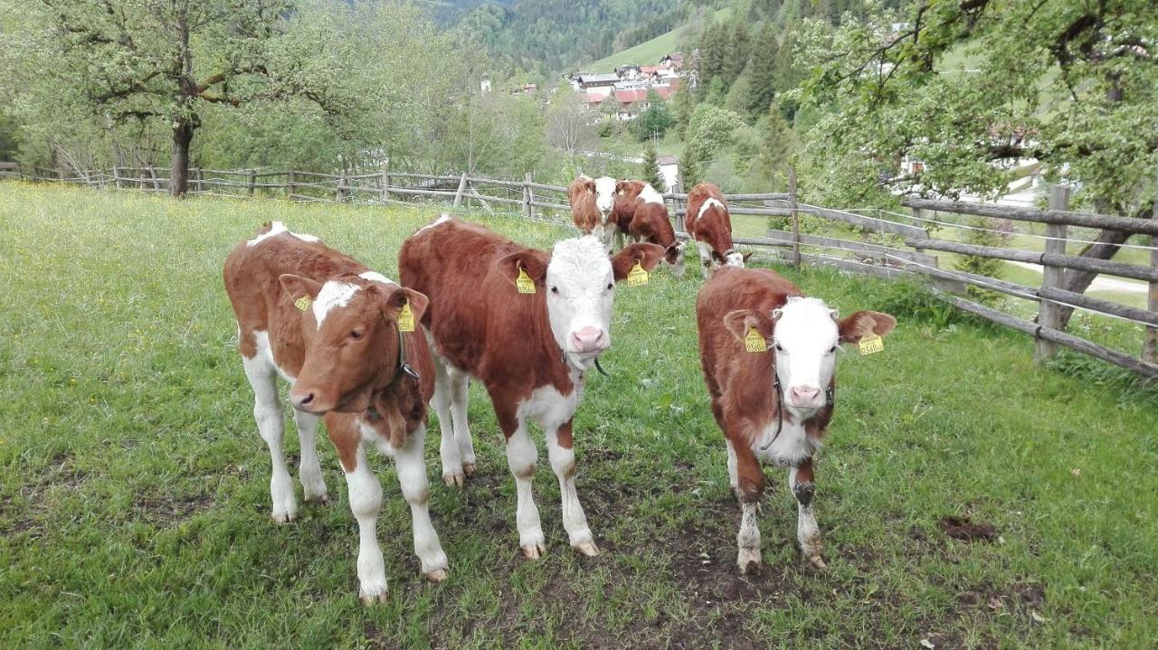 Bio-Bauernhof "Hecherhof" Thiersee Eksteriør bilde