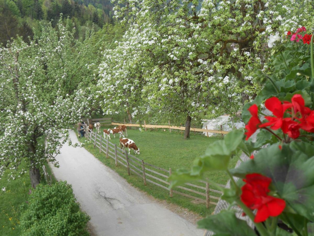 Bio-Bauernhof "Hecherhof" Thiersee Eksteriør bilde