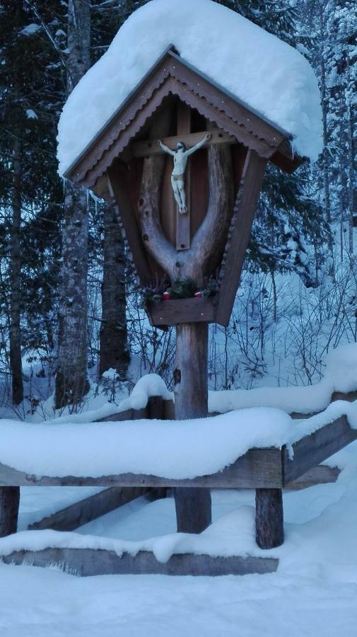 Bio-Bauernhof "Hecherhof" Thiersee Eksteriør bilde