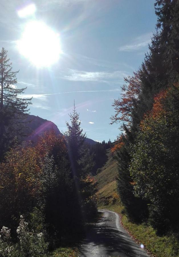 Bio-Bauernhof "Hecherhof" Thiersee Eksteriør bilde